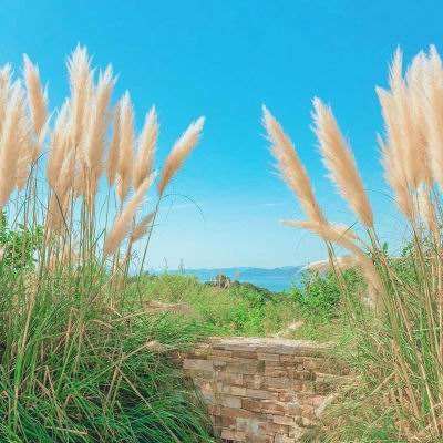 BB贝博ballbet网页登录